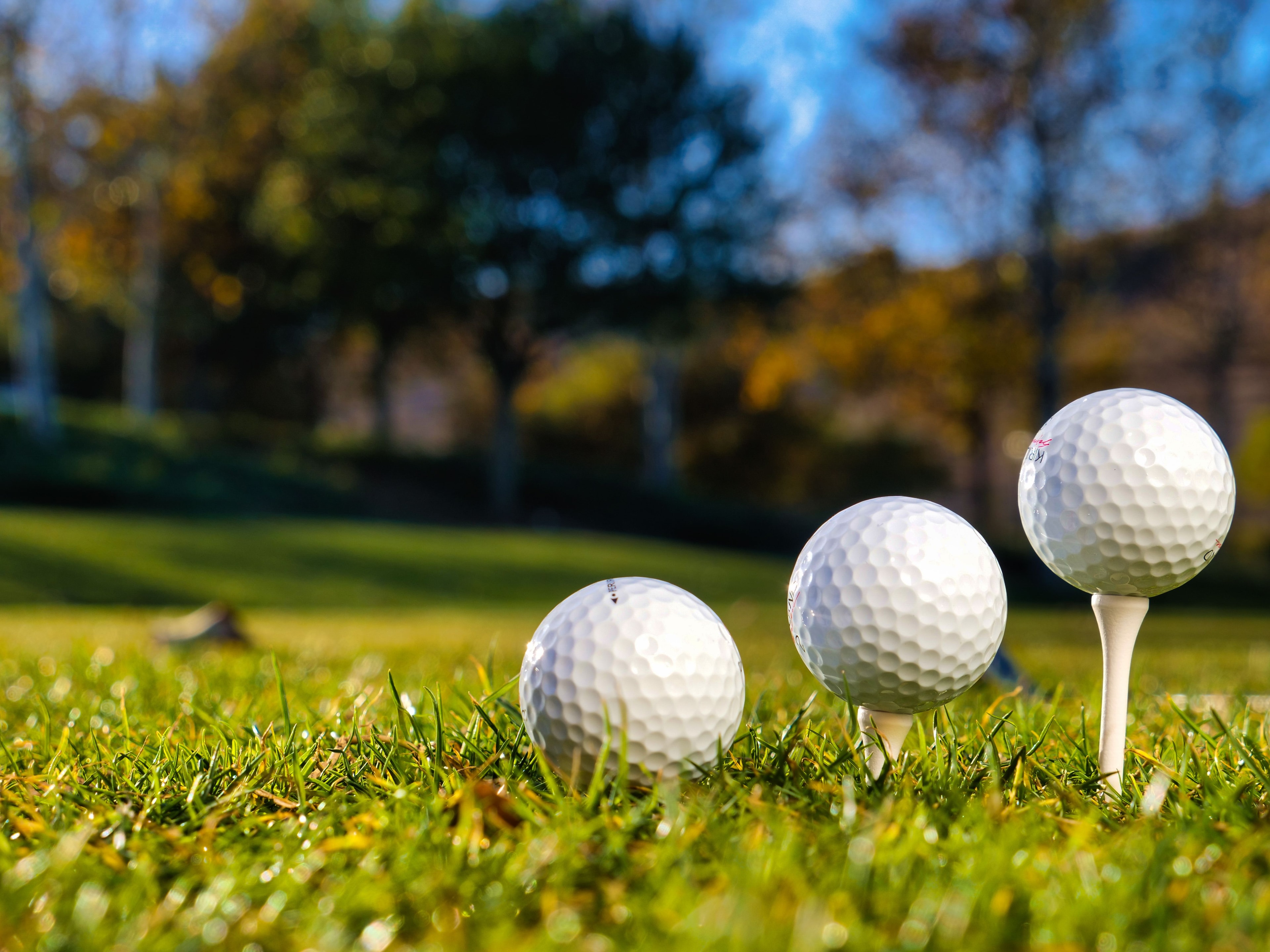 Titleist Pro V1 Golf Balls